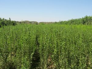 photo_2016-10-21_17-09-01