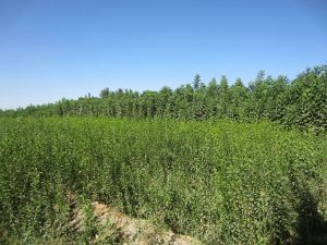 photo_2016-10-21_17-09-15