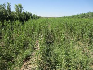 photo_2016-10-21_17-09-19