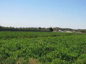 photo_2016-10-21_17-09-28